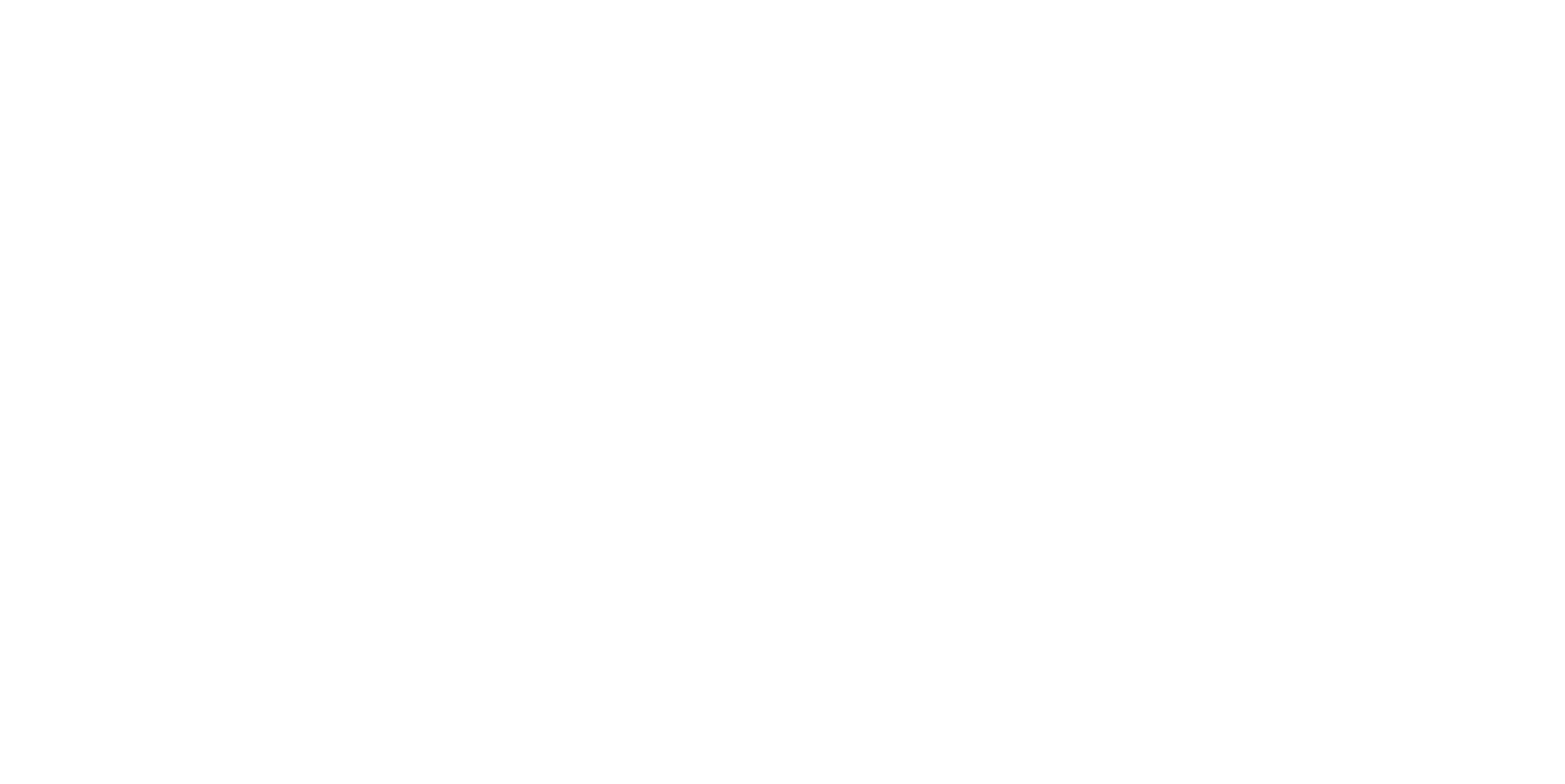 Doorwin_Engineering_White_Logo