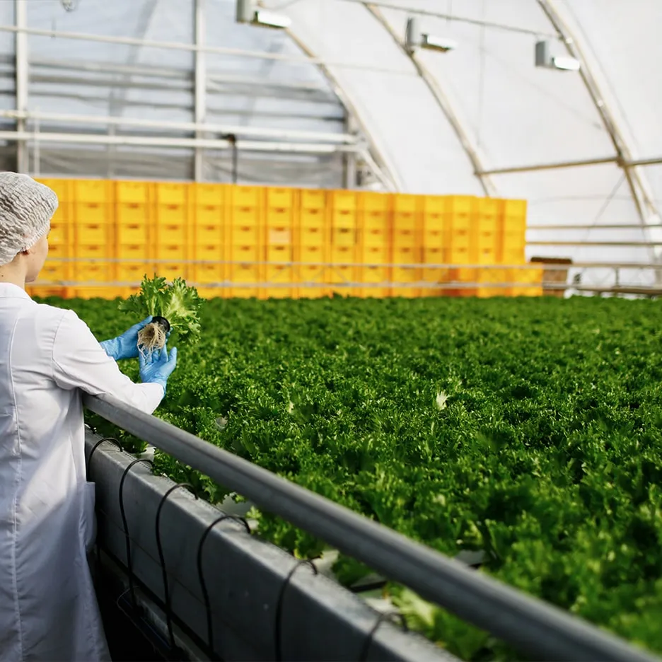 Agriculture Product Industry
